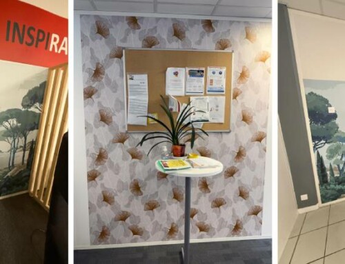 Collaboration écoresponsable avec Fairspace : pose de papiers peints sur mesure dans 6 agences en France