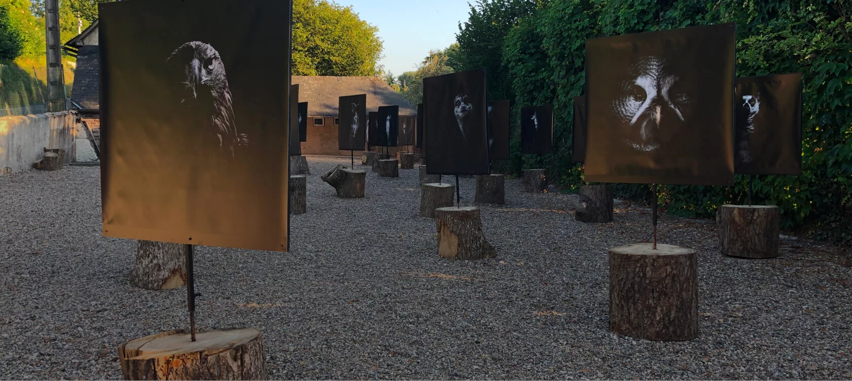 Impression photo grand format