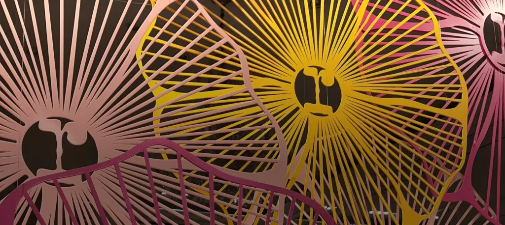 Découpe numérique laser