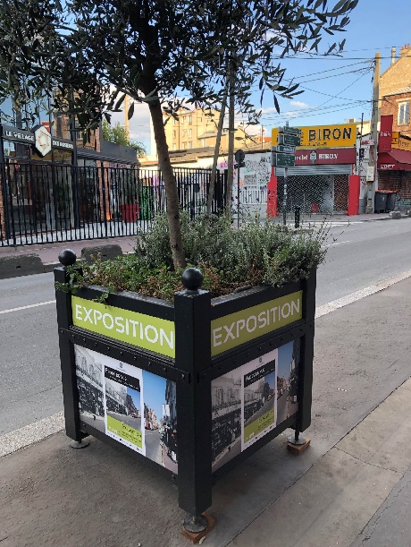 Dispositif bois pour jardin et place publique