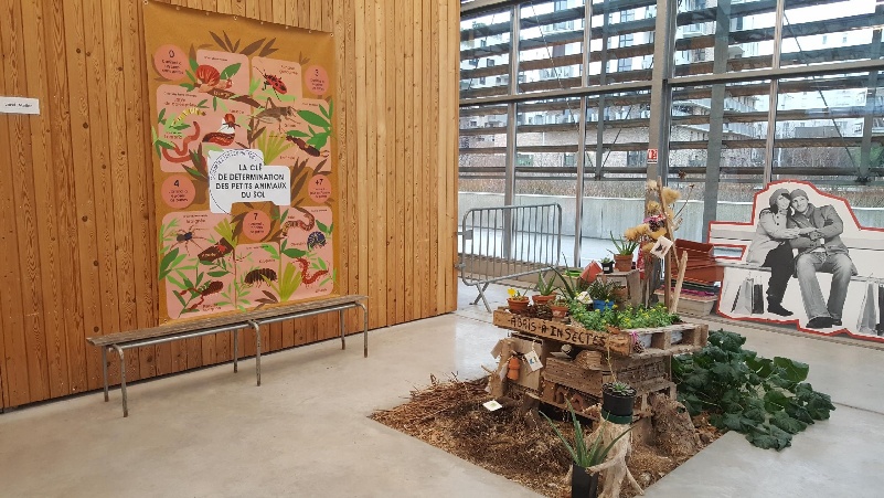 Vitrophanie commerce local et affichage culturel